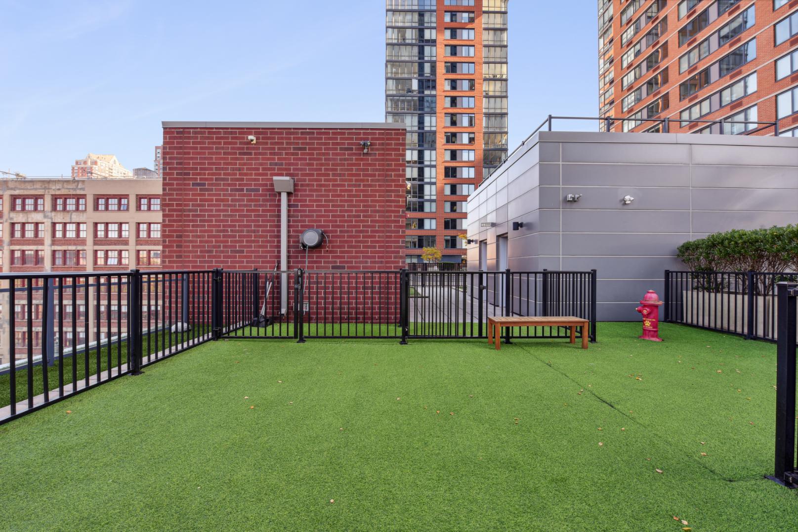 Rooftop dog park