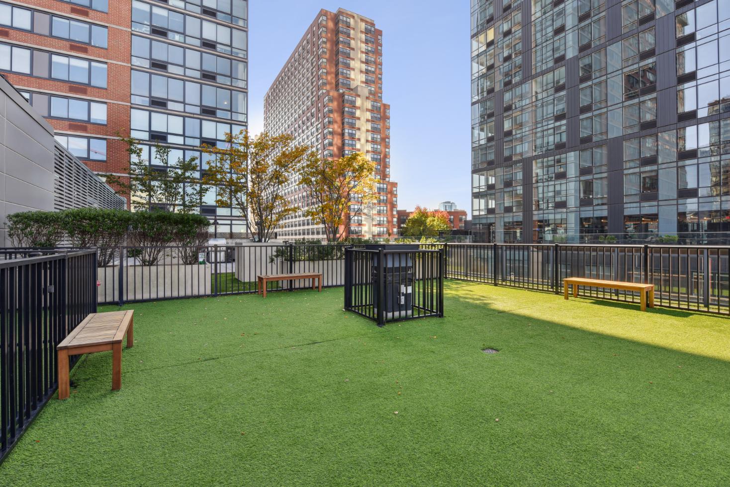 Rooftop dog park